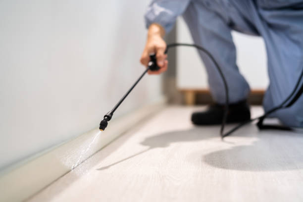 Licensed Termite Control service in Trenton, IL - Show Me Pest Control